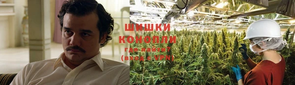 прущие грибы Белокуриха