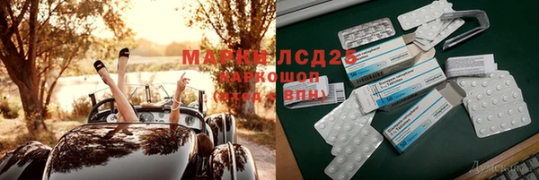 прущие грибы Белокуриха
