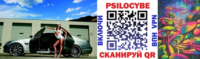 Псилоцибиновые грибы Psilocybe  Вязьма 