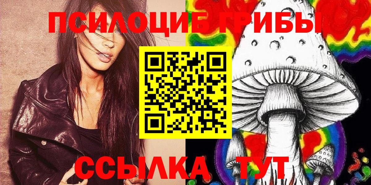Галлюциногенные грибы Cubensis Вязьма