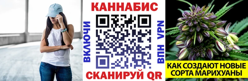 Конопля план Вязьма